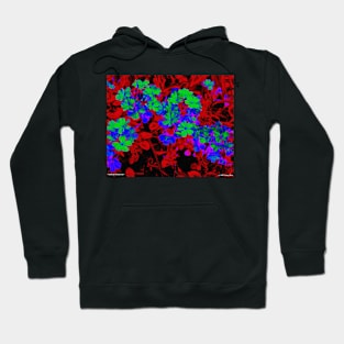 Martian Shamrocks Hoodie